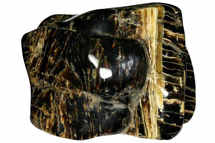Wide Piece Of Polished Indonesian Amber - Massive! #150446